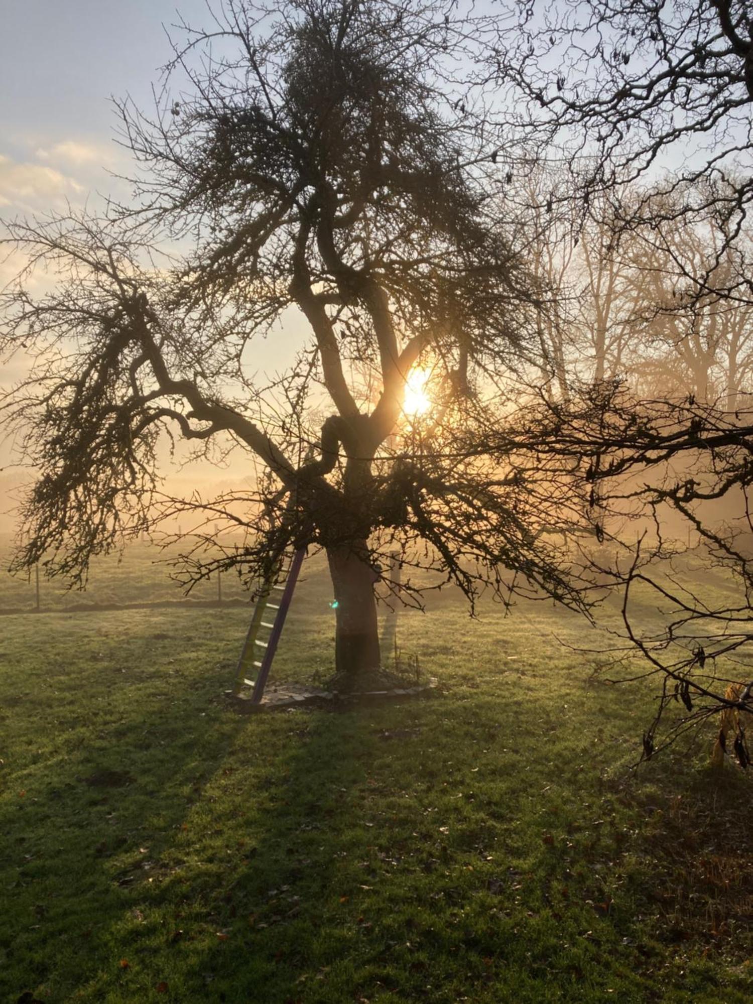 Villa L'Aire Des Oiseaux Muno Esterno foto